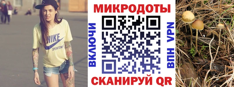 Галлюциногенные грибы Cubensis Купить закладки Ипатово
